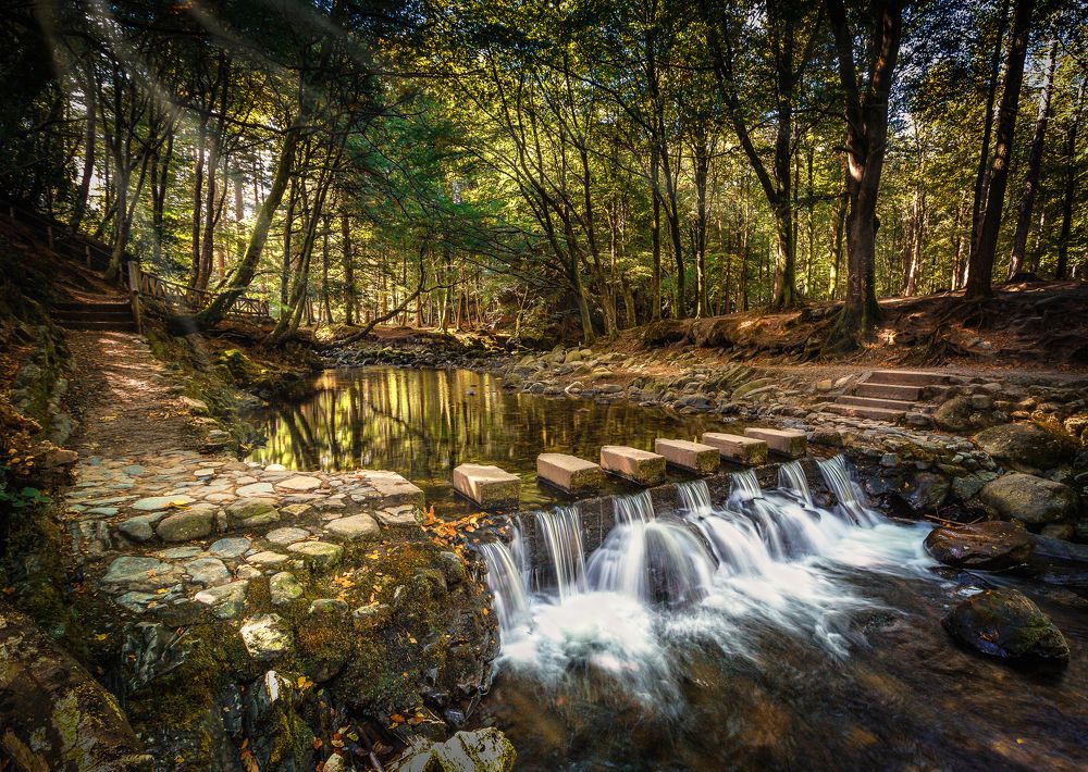 Photograph by Anatoly Chomko