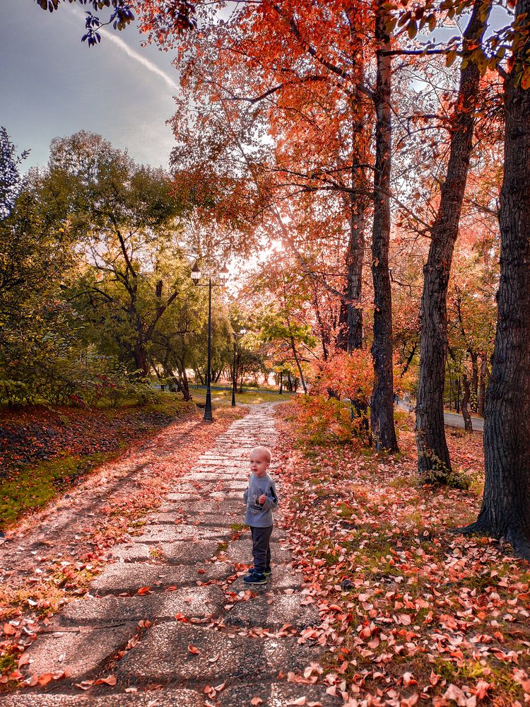 Осень
