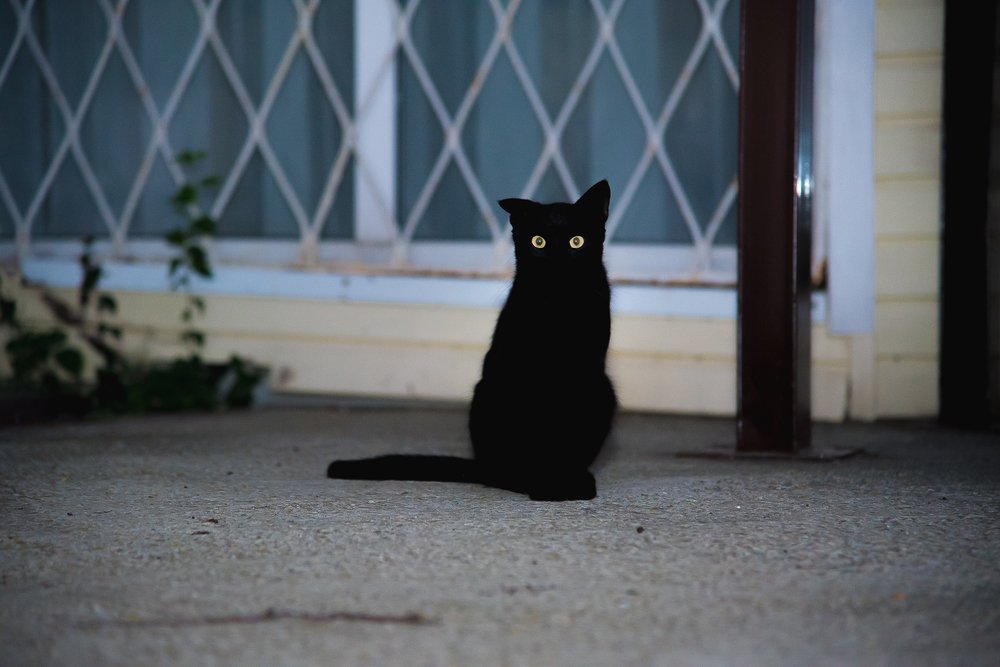 Чернее ночи