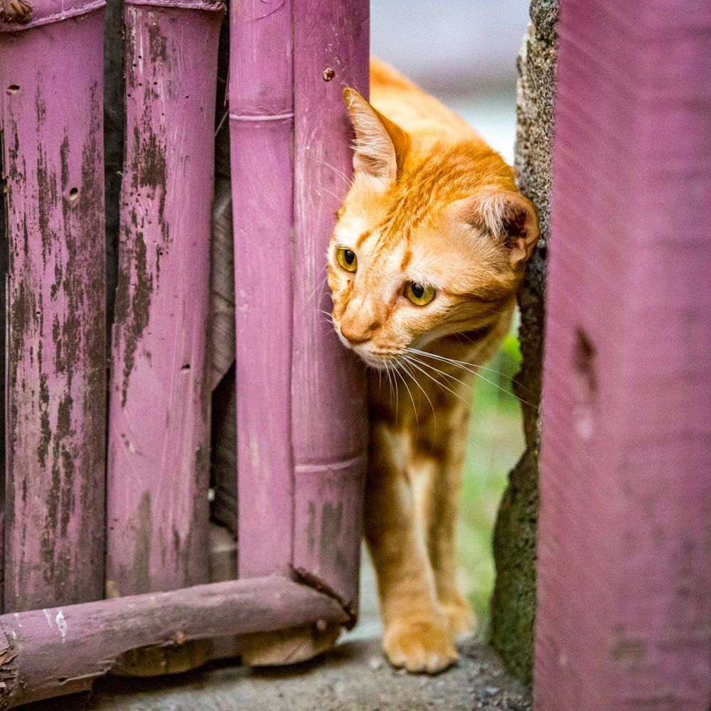 Don't leave me behind!