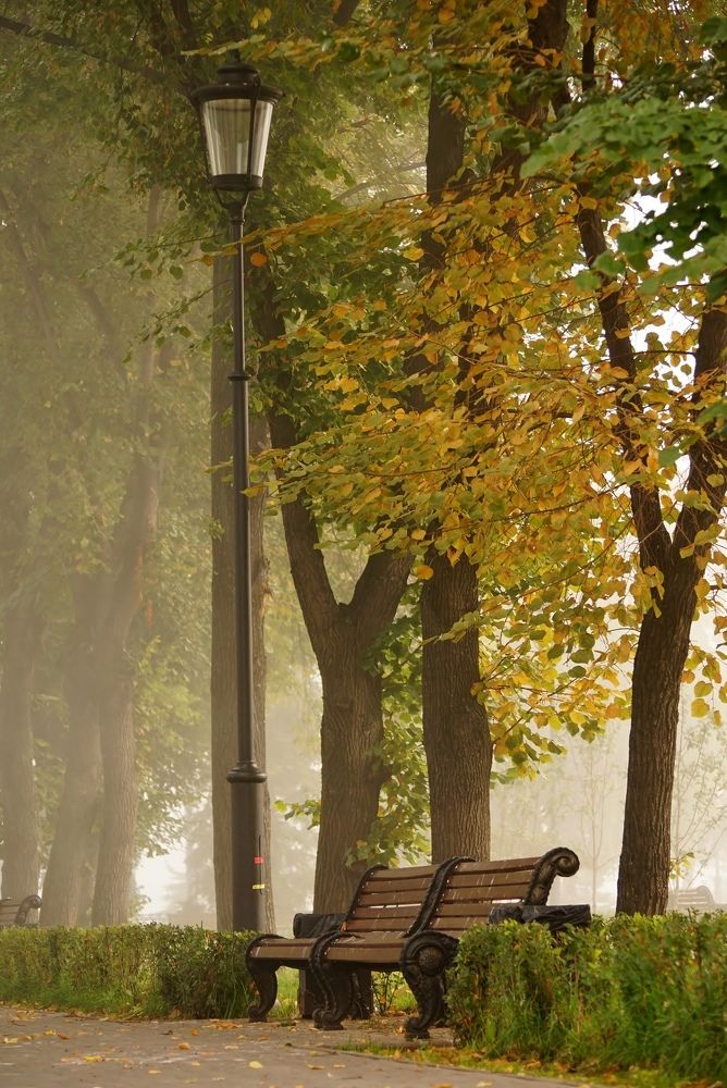 Photograph by Александр Попов