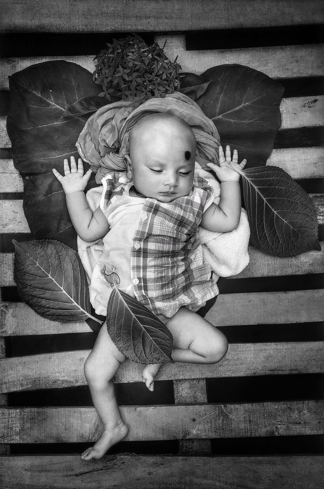 Starting Life