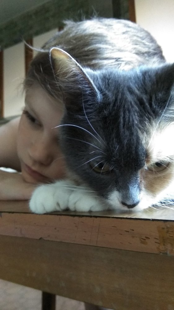 Добрыня и Пуша