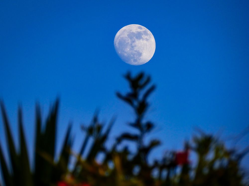 Luna y paisaje