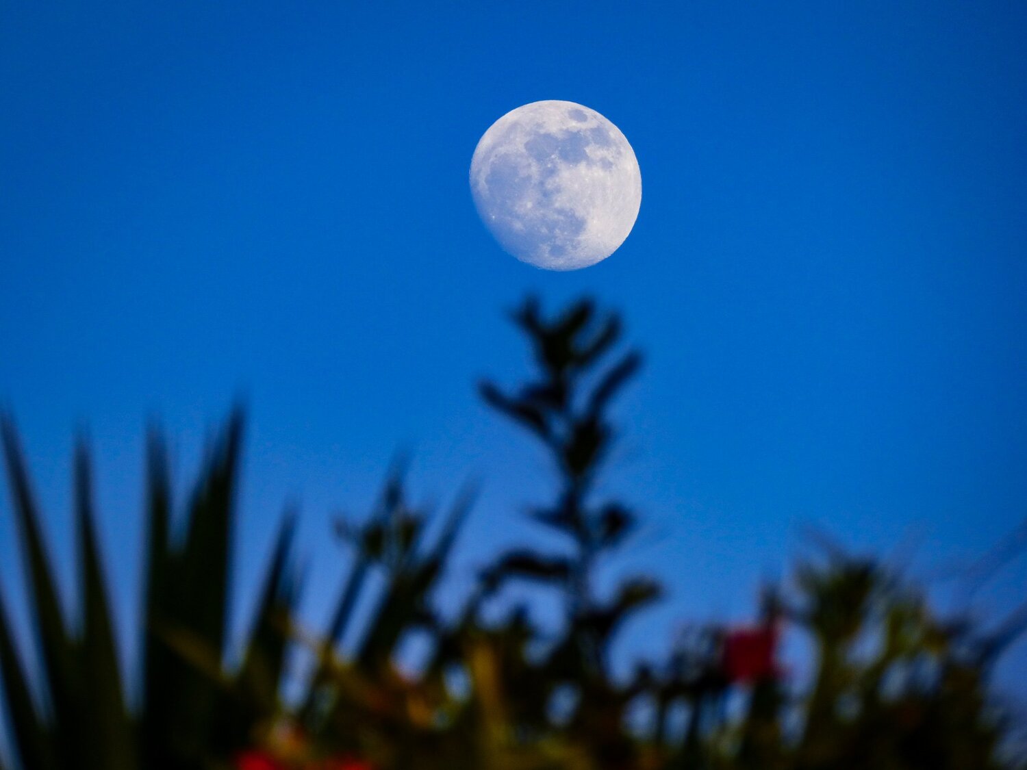 Luna y paisaje