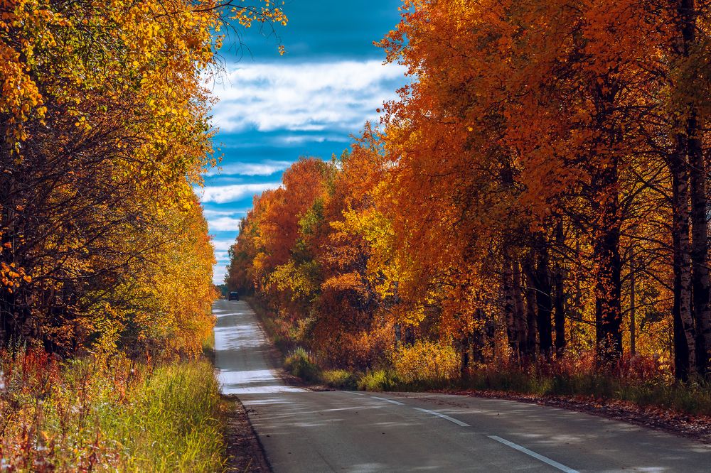 Photograph by Илья Лисаускас