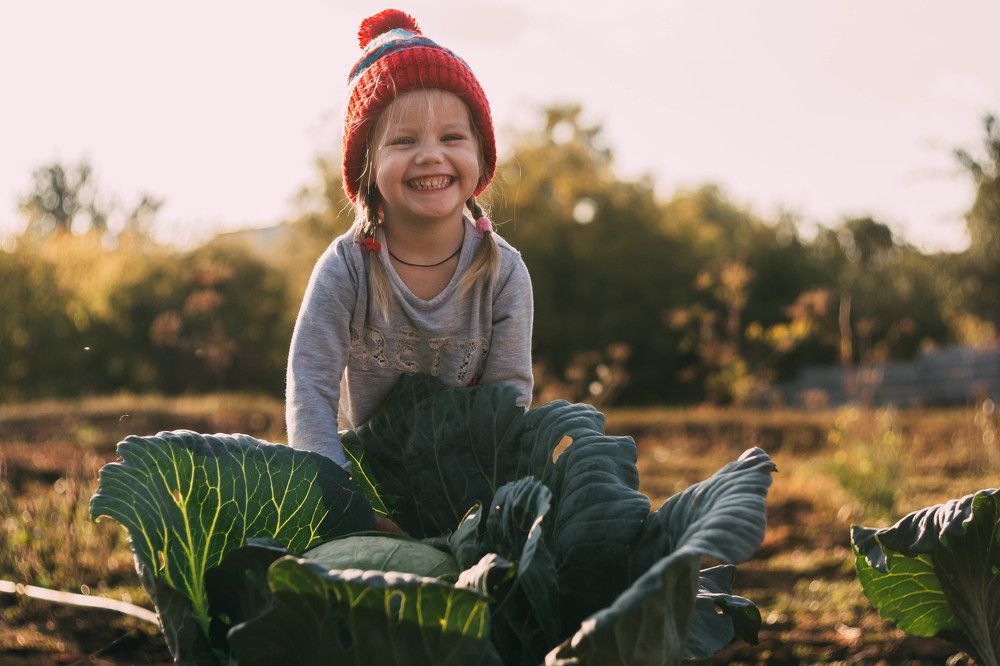 Соня и капуста