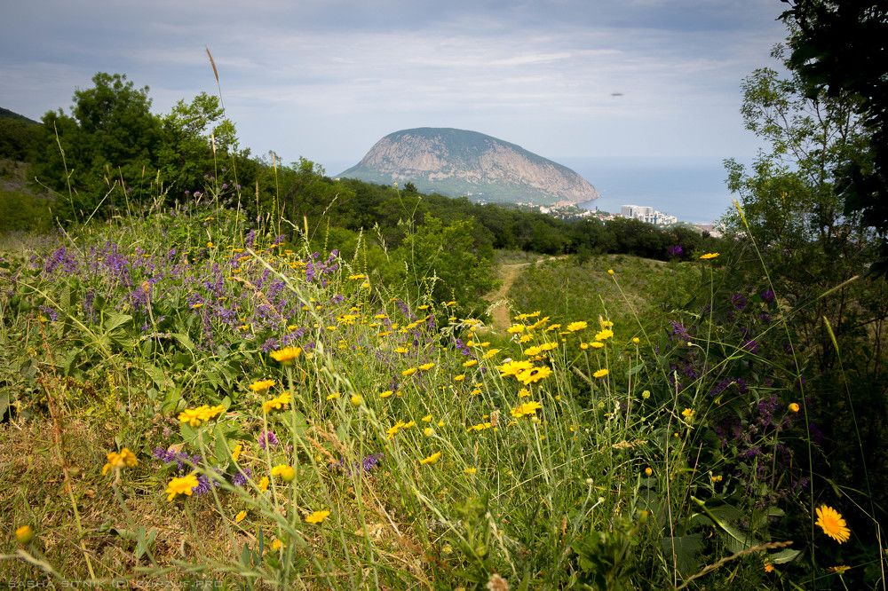 Лето в Крыму. Гурзуф