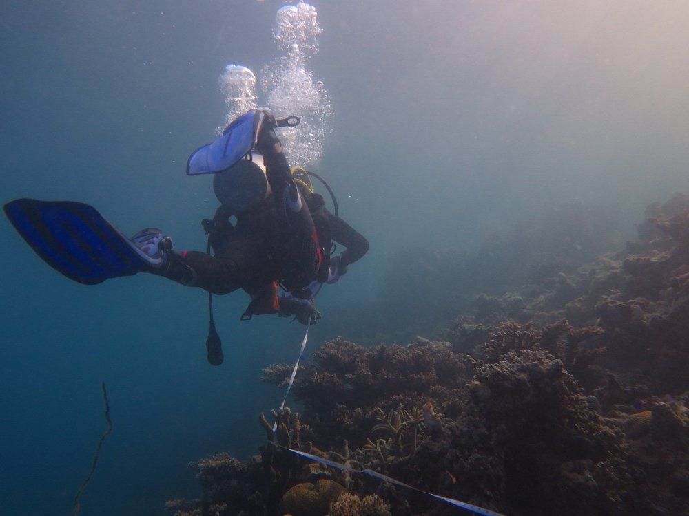 divers always wet