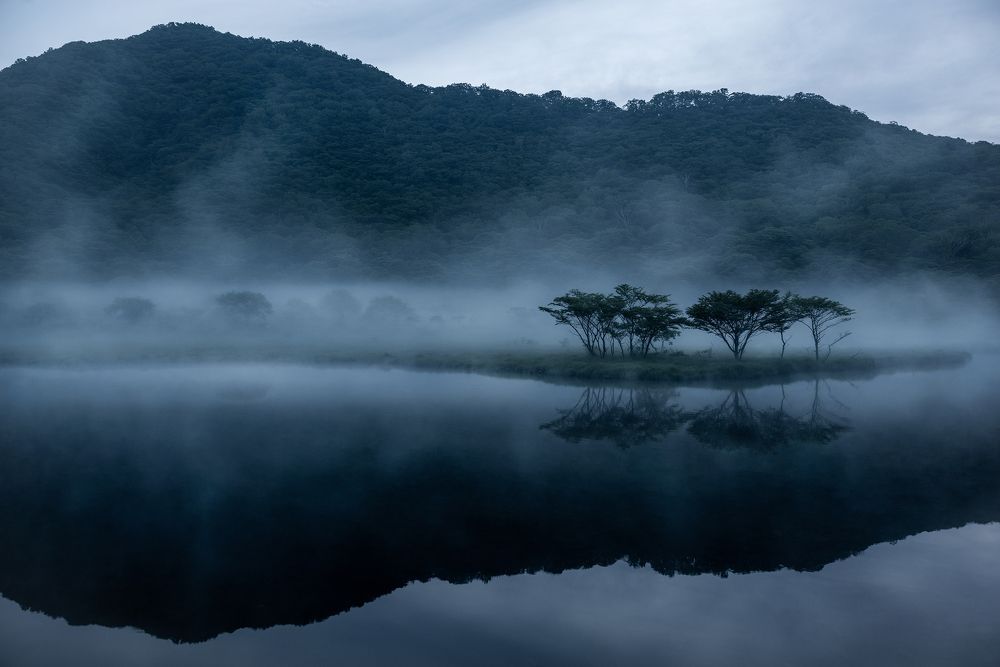 静かの森　Quiet of the forest
