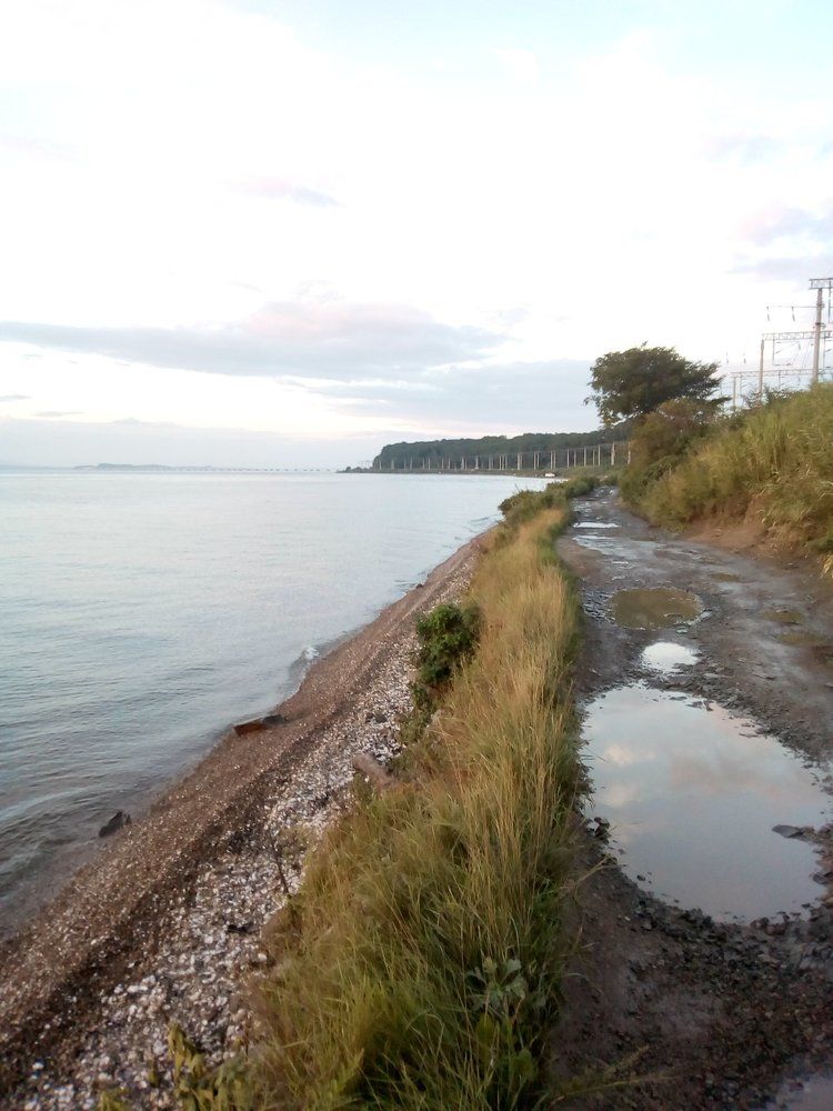 Побережье Амурского залива