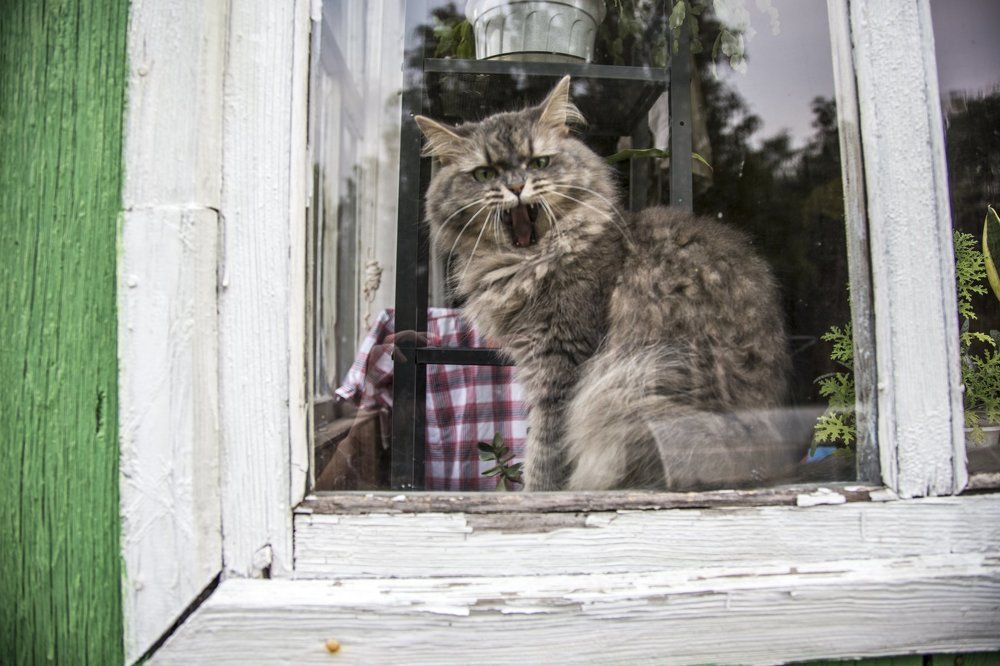 Гостеприимство