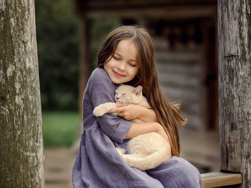 Любимый котик