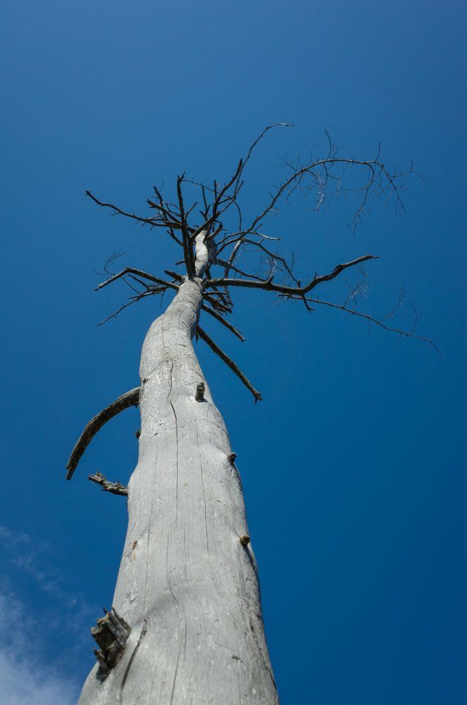 Photograph by Мудрилов Антон