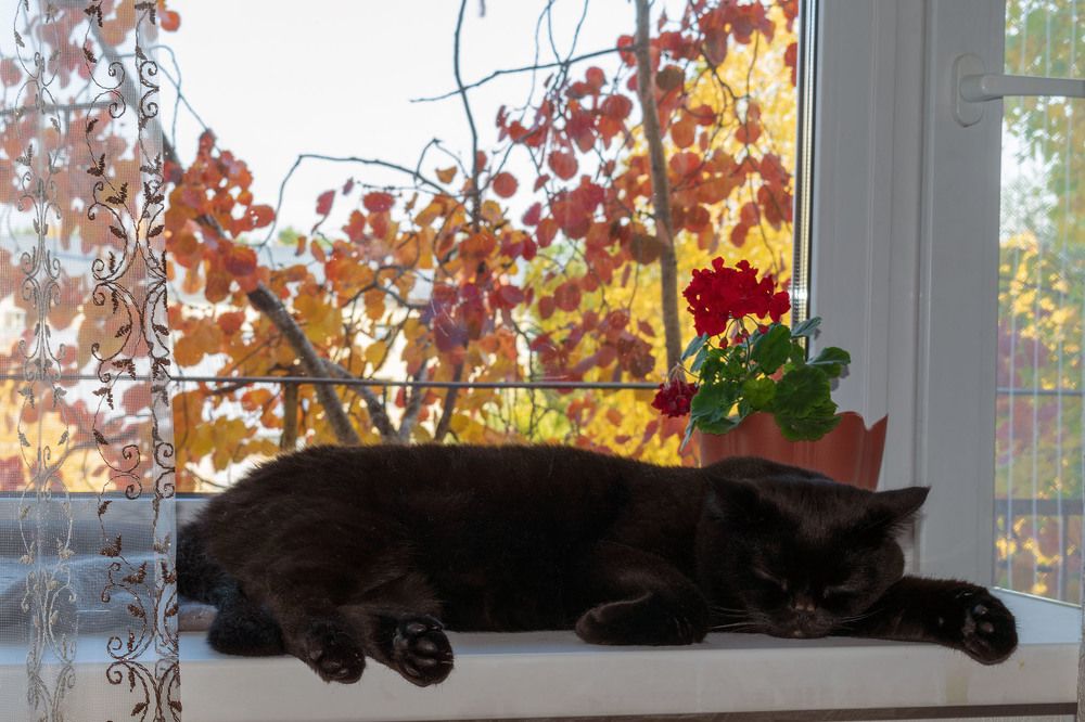 Безмятежная осень...