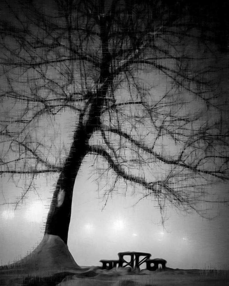 Photograph by Nijaz Kajtaz