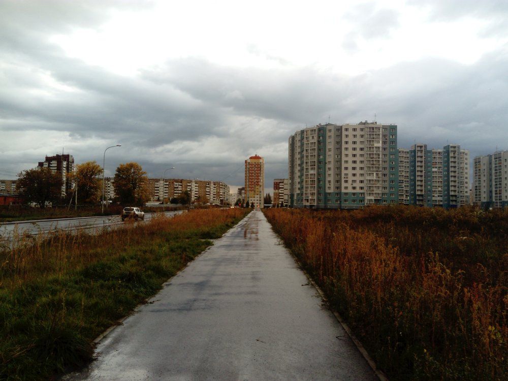 Photo #2557250