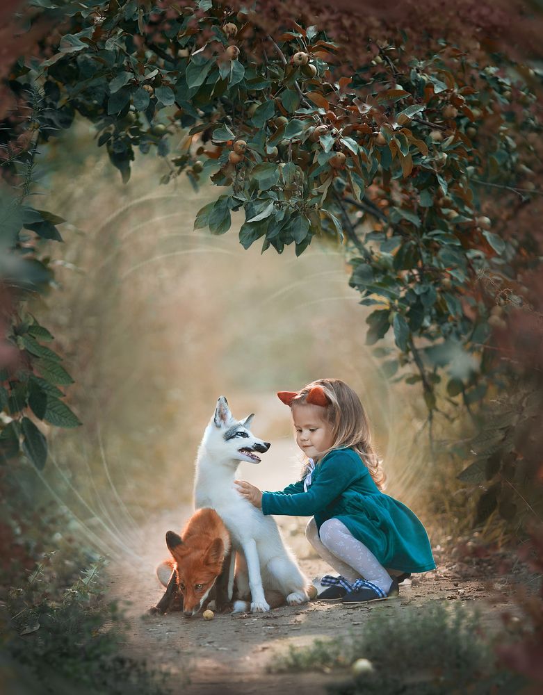 пойдешь, в нашу стаю?