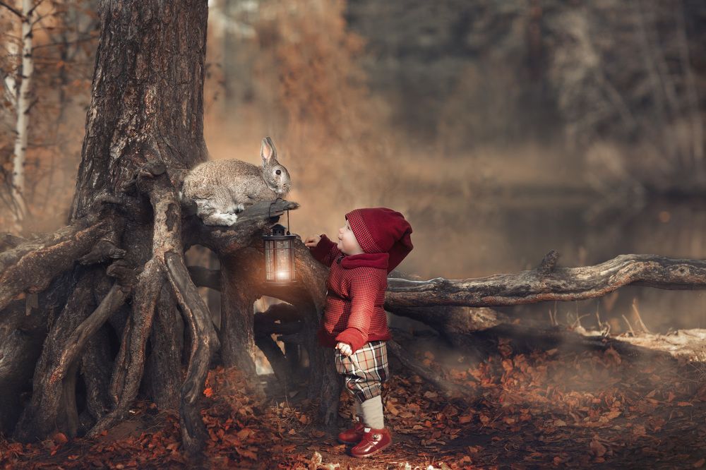 лесная история