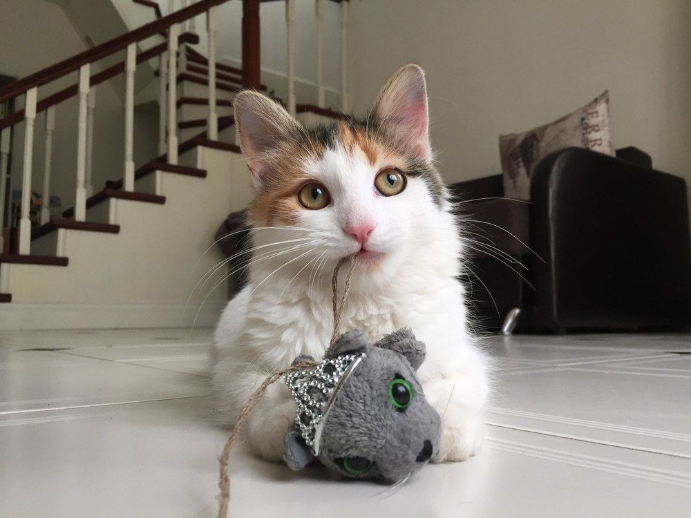 Задумалась