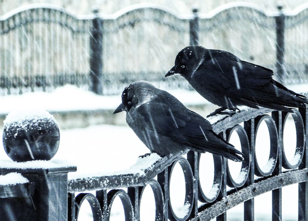 Не грусти, скоро весна:)