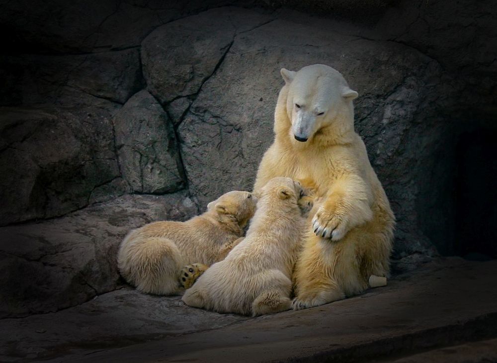 Нежнее нежного