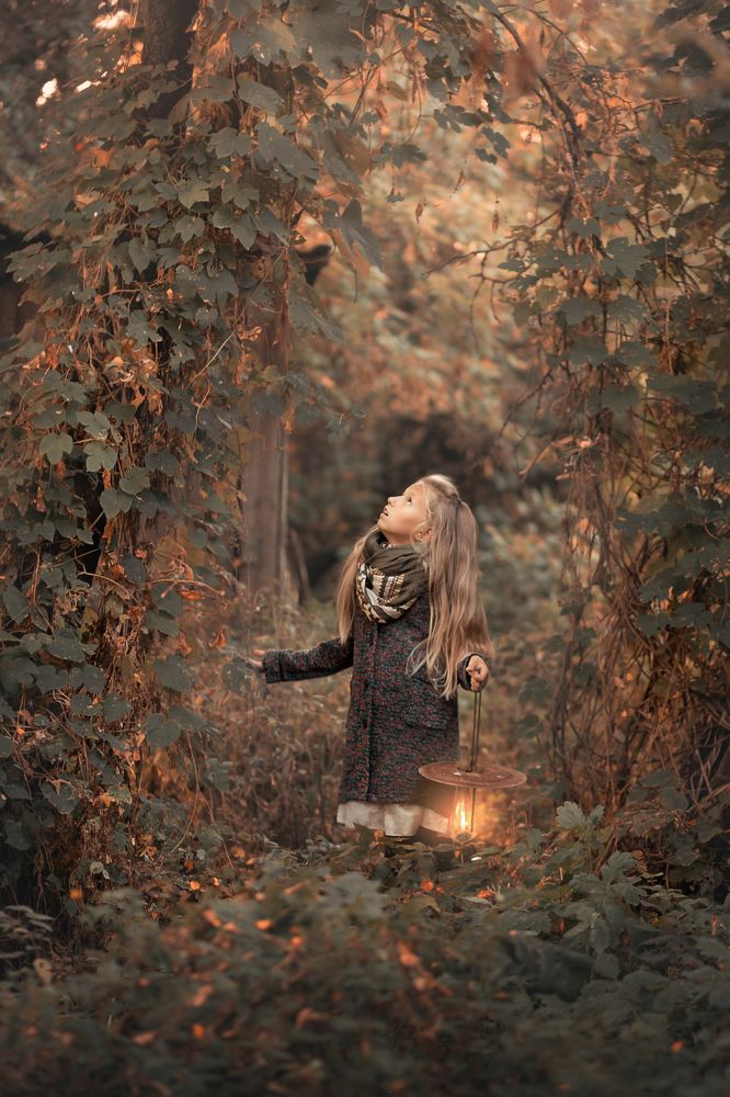 В поисках солнышка