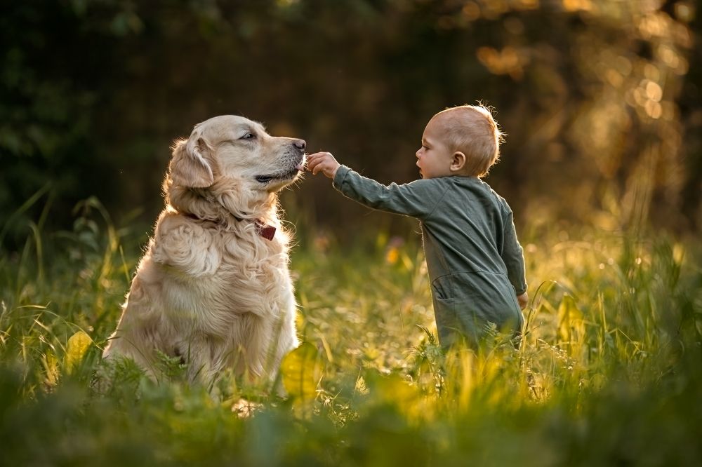 Photograph by Ольга Венцкут