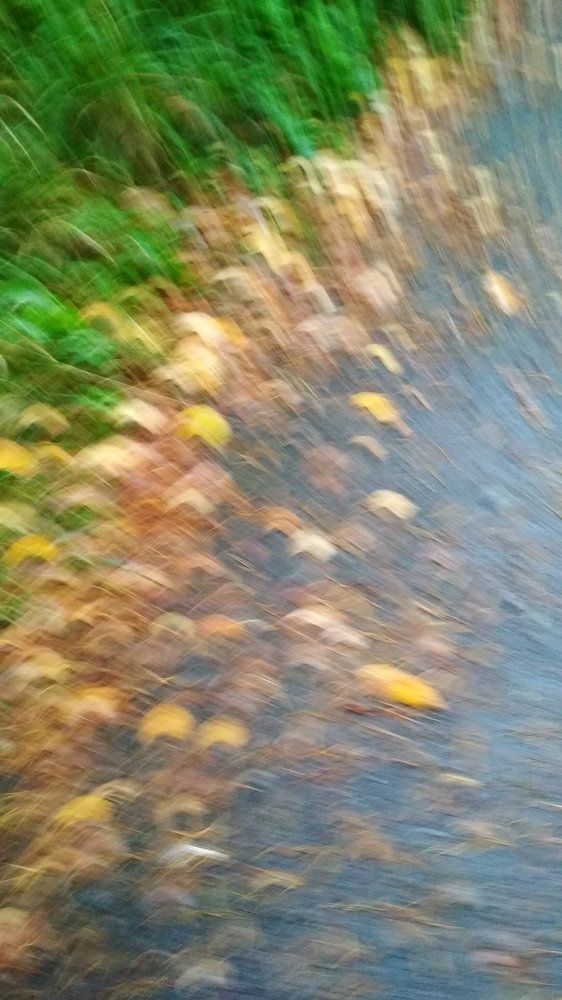 Photograph by Любовь Макарова