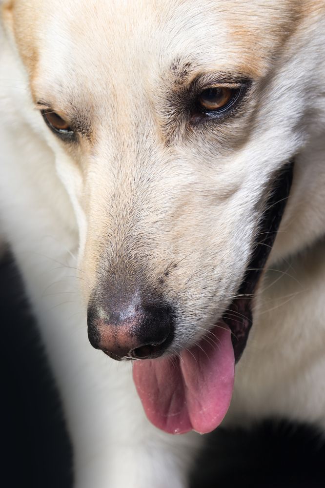 Peace begins with a smile.