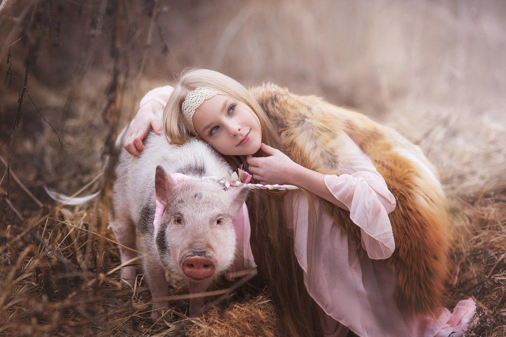 мой ини пиг