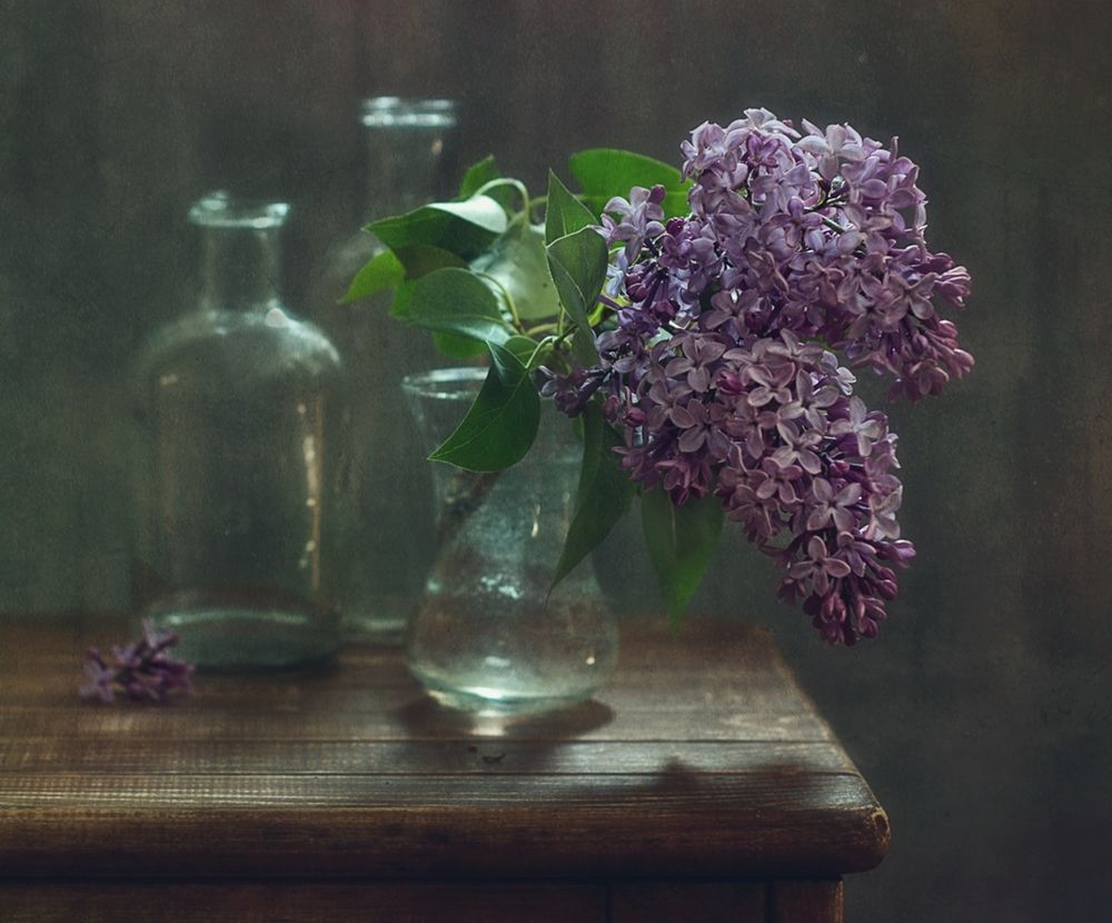 веточка сирени...