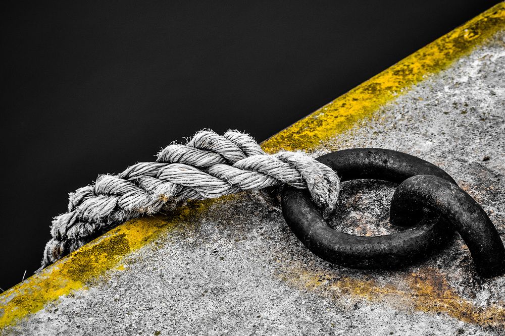 Photograph by Marius Žvikas