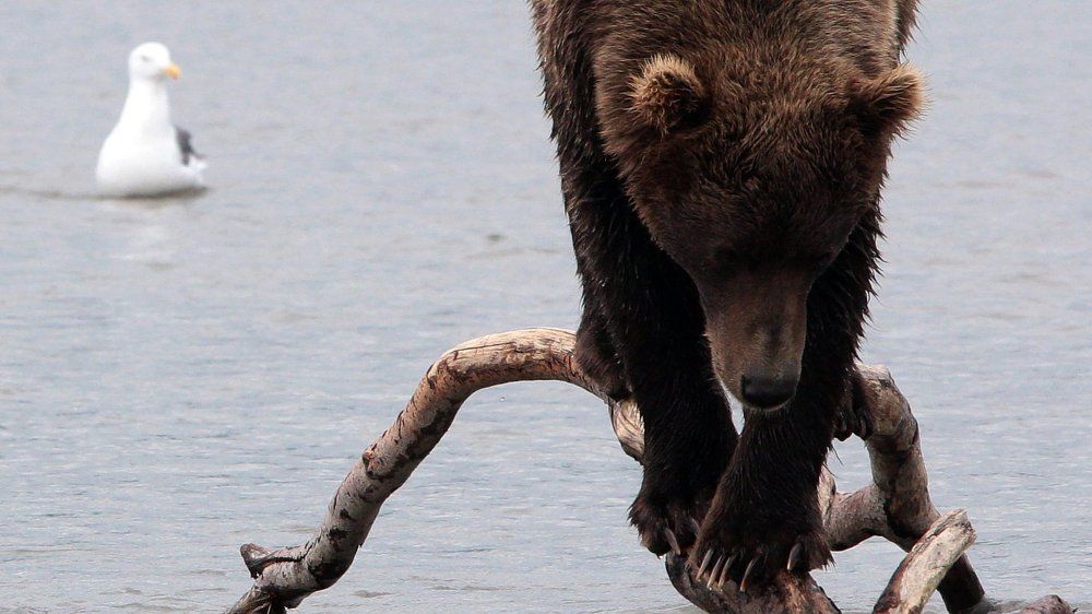 В раздумьях