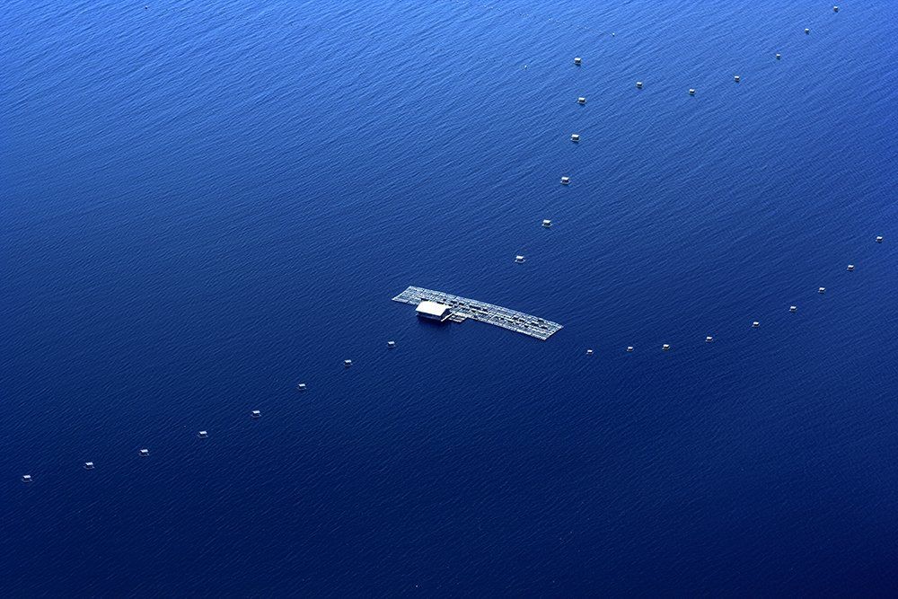 Indonesian Floating basket
