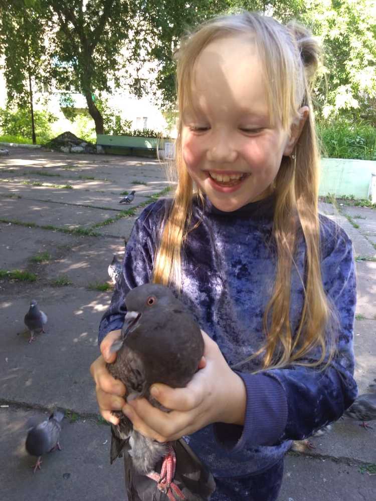 Прогулка