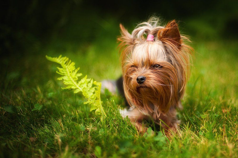 Photograph by Юлиана Джус