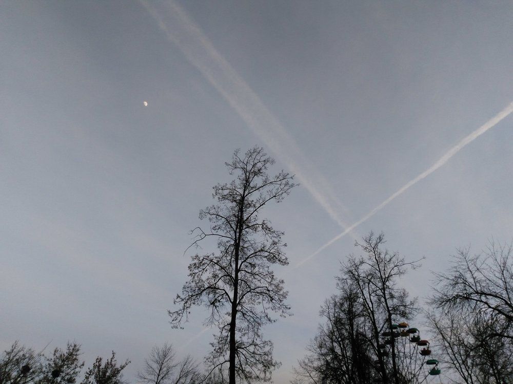 Под небом голубым