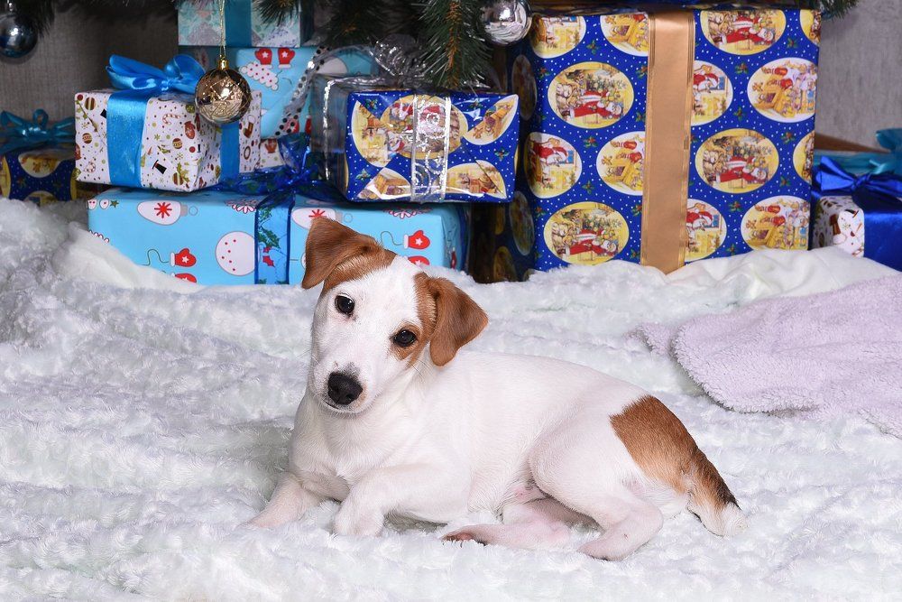 С новым годом