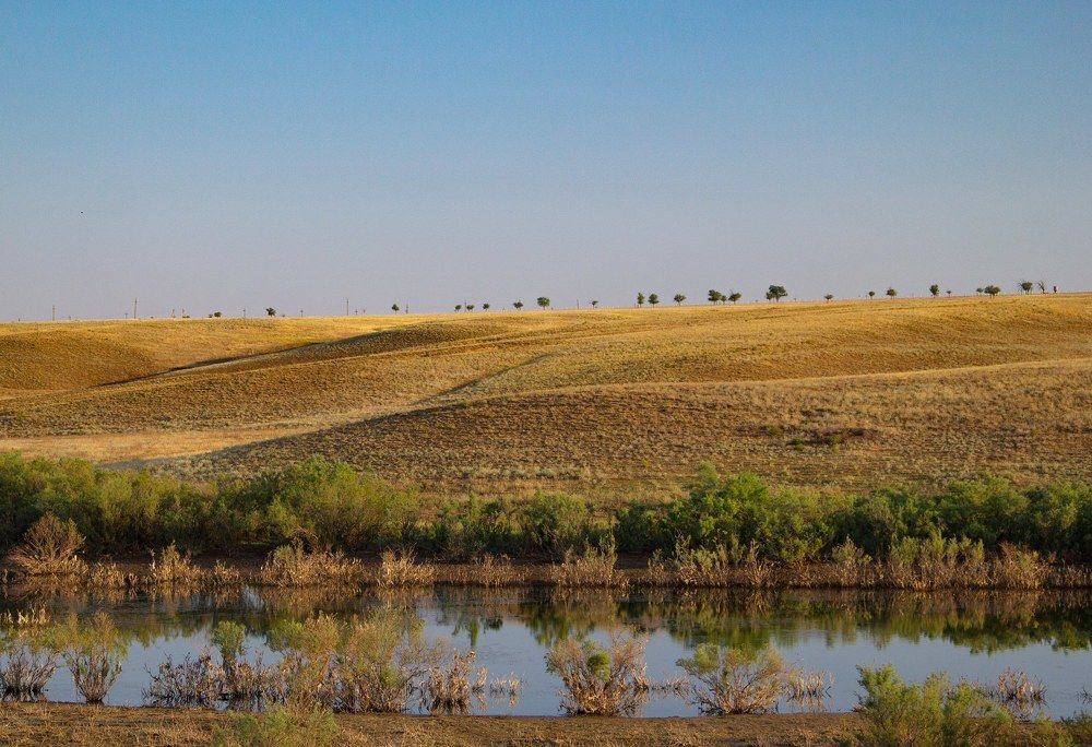 Утро в калмыцкой степи