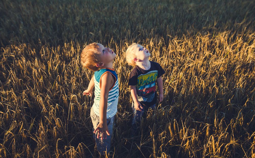 Ты тоже это видишь?!