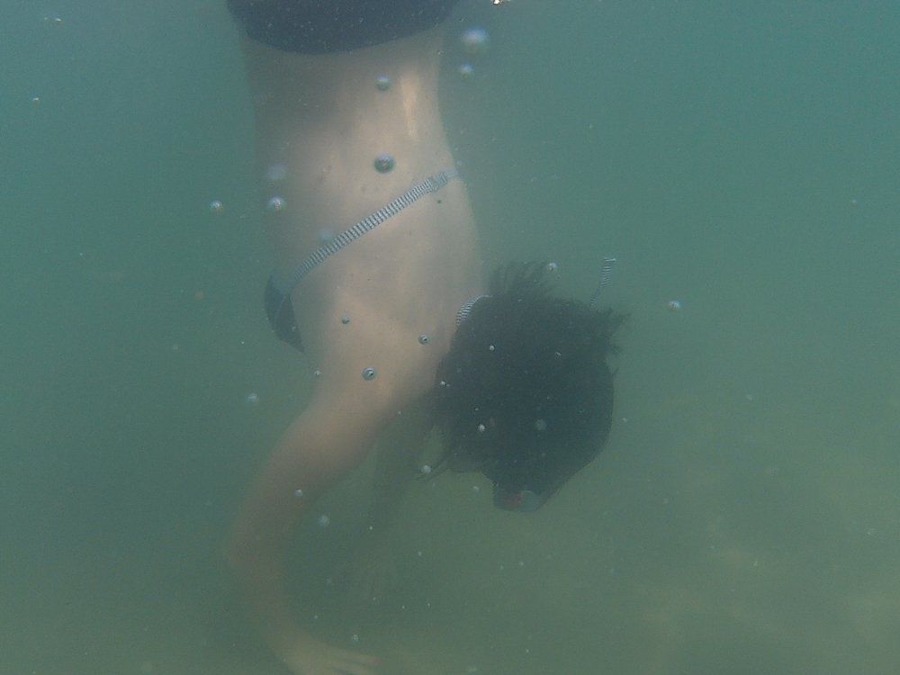 Free dive