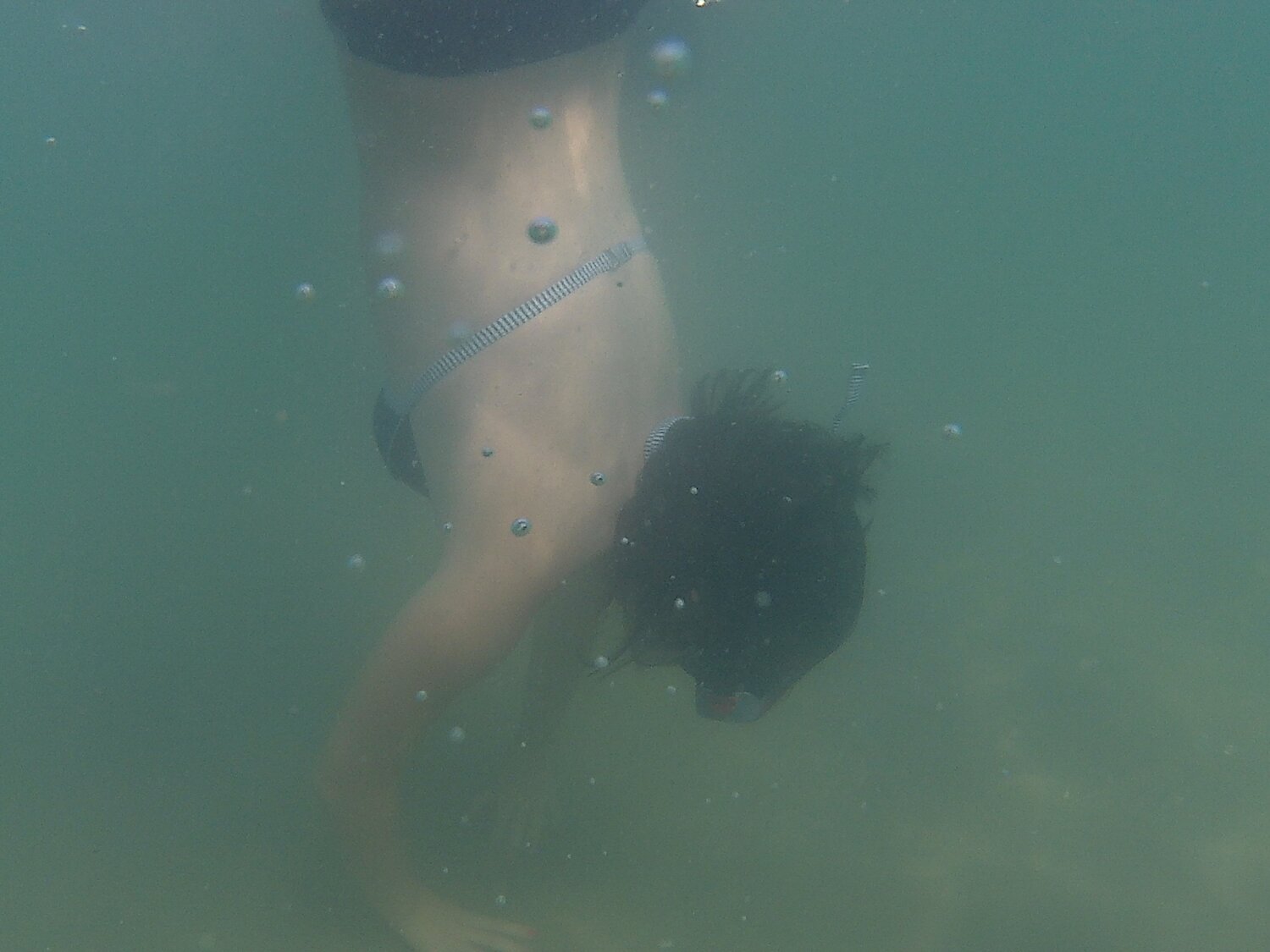 Free dive