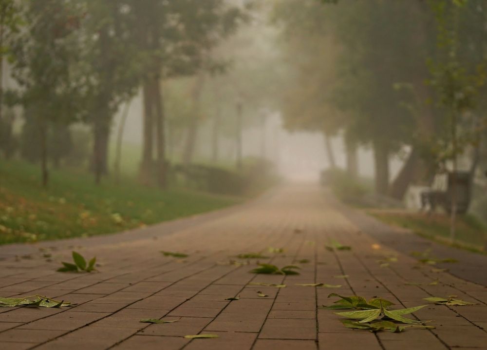 Photograph by Александр Попов