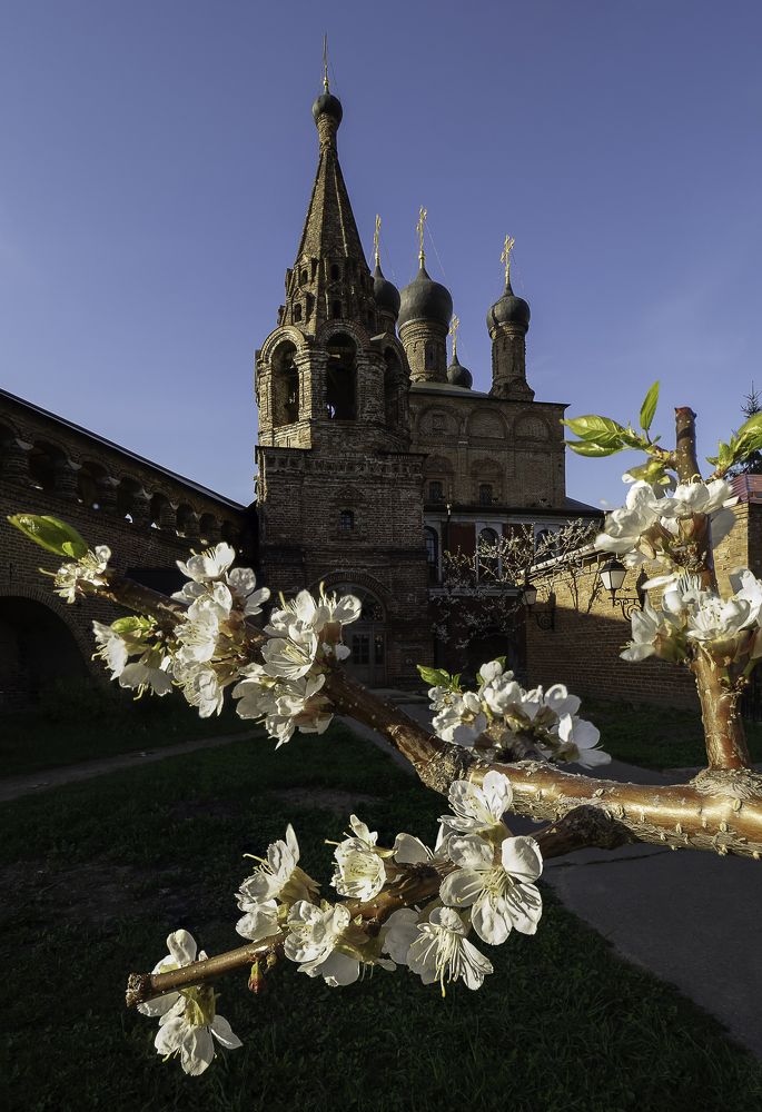 Весна в Крутицах