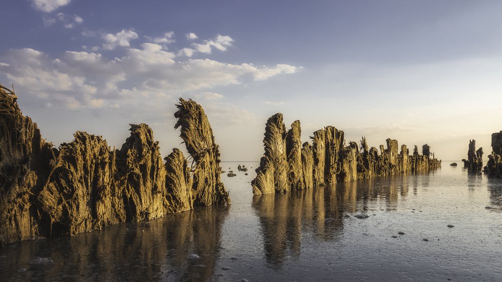 Гребень дракона