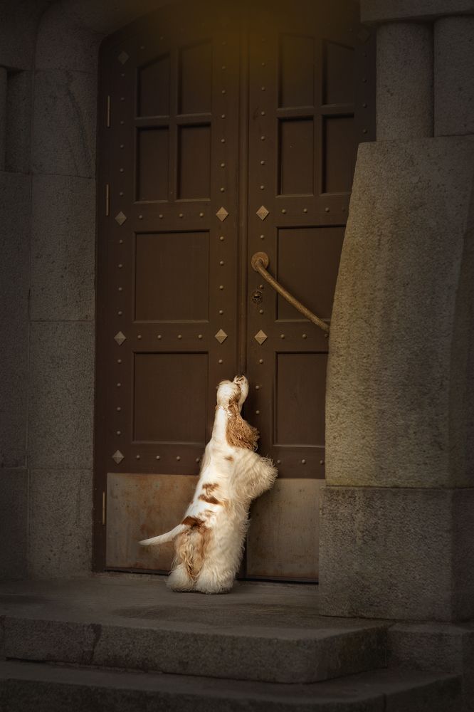 Вечер у замка