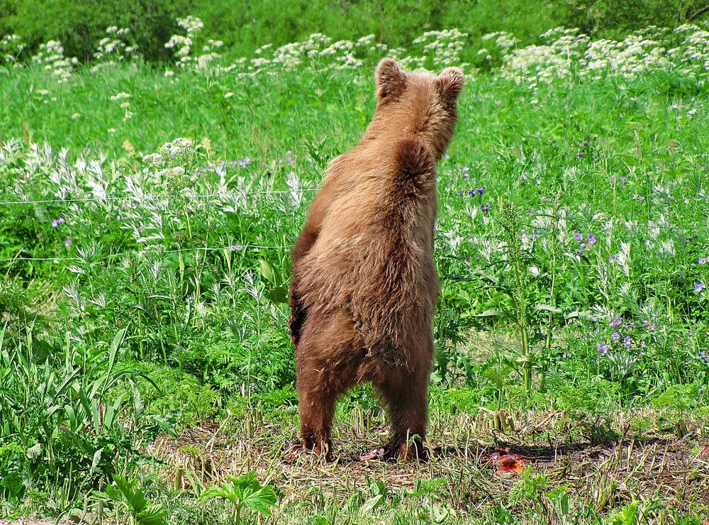 Любопытство.