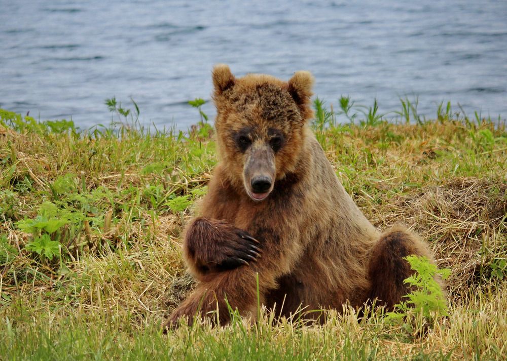 Доброе утро!