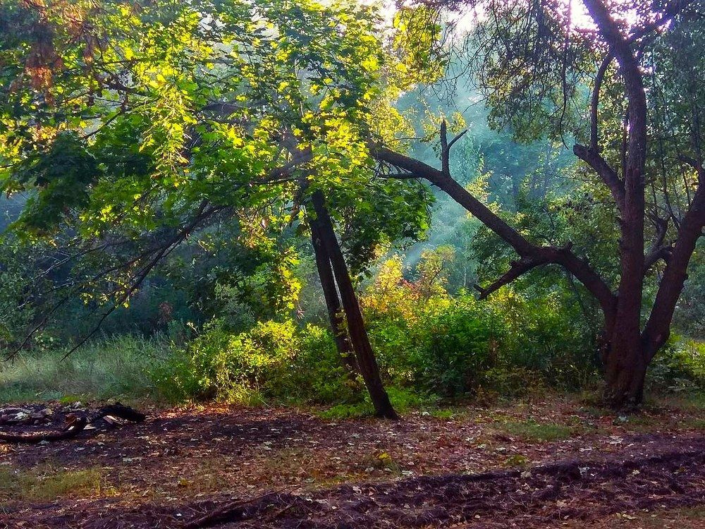 Природа на закате